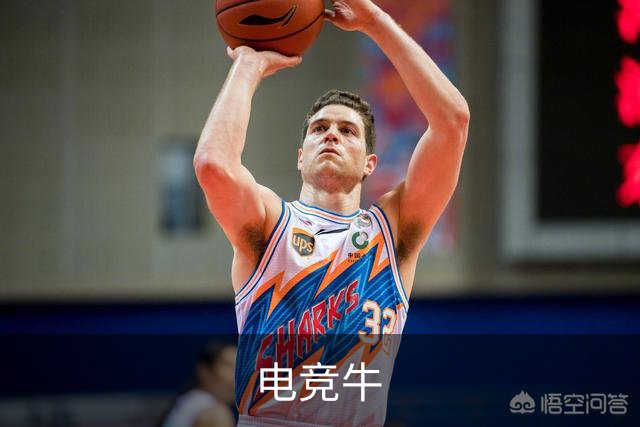 电竞牛公司简介